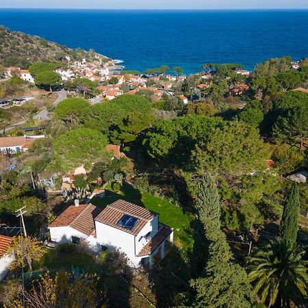Villa Caterina Quiete E Mare-Goelba SantʼAndrea 외부 사진