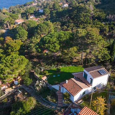 Villa Caterina Quiete E Mare-Goelba SantʼAndrea 외부 사진