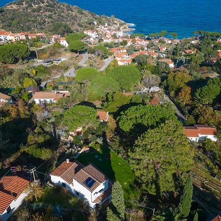 Villa Caterina Quiete E Mare-Goelba SantʼAndrea 외부 사진