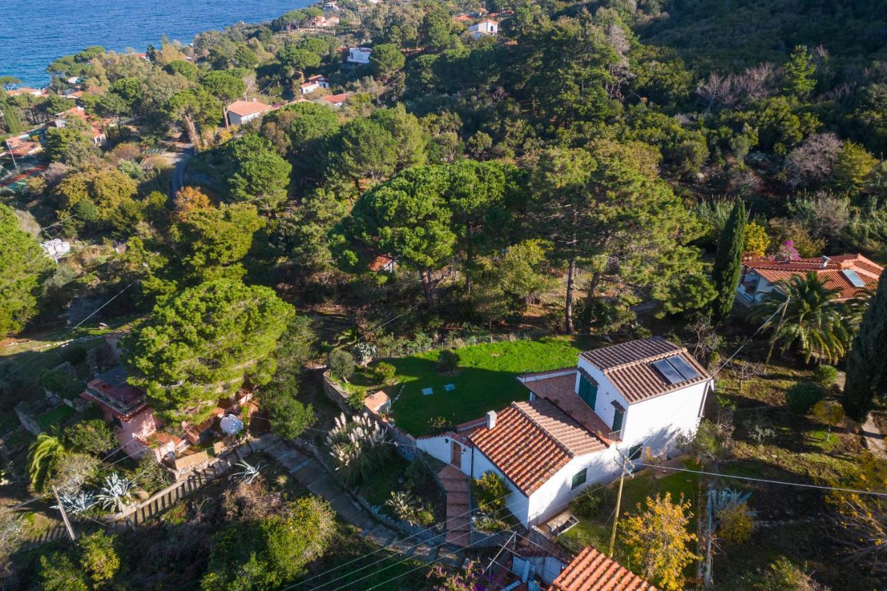 Villa Caterina Quiete E Mare-Goelba SantʼAndrea 외부 사진