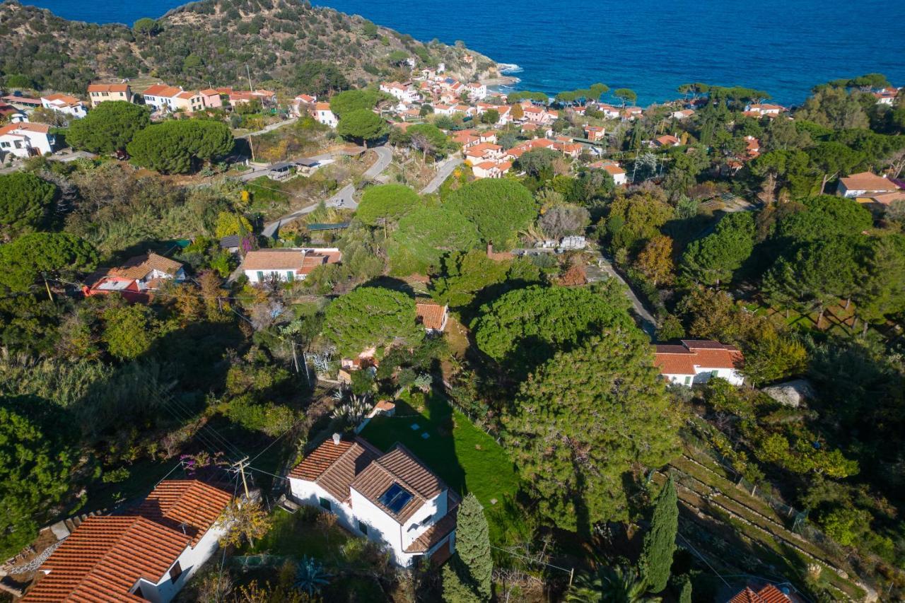 Villa Caterina Quiete E Mare-Goelba SantʼAndrea 외부 사진