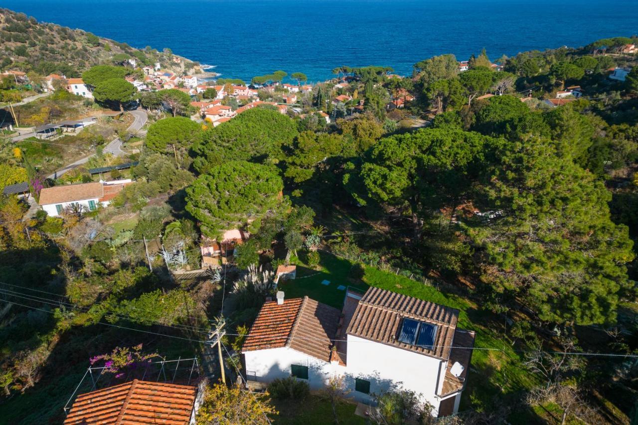 Villa Caterina Quiete E Mare-Goelba SantʼAndrea 외부 사진